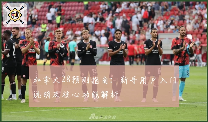 加拿大28预测指南：新手用户入门说明及核心功能解析