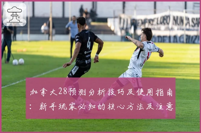 加拿大28预测分析技巧及使用指南：新手玩家必知的核心方法及注意事项