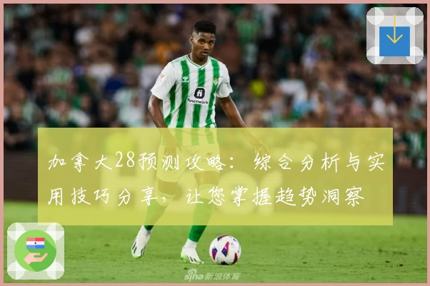 加拿大28预测攻略：综合分析与实用技巧分享，让您掌握趋势洞察