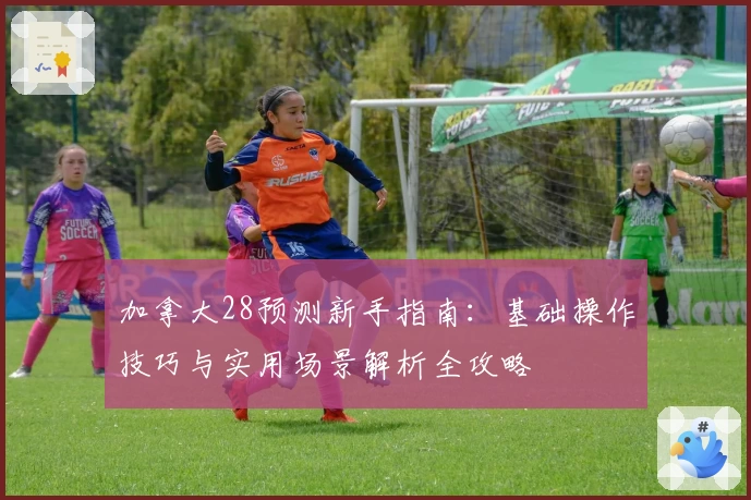 加拿大28预测新手指南：基础操作技巧与实用场景解析全攻略