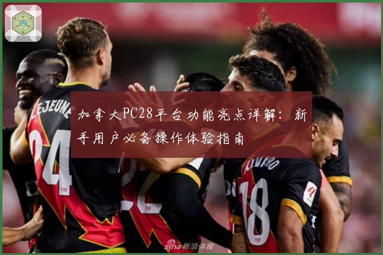 加拿大PC28平台功能亮点详解：新手用户必备操作体验指南