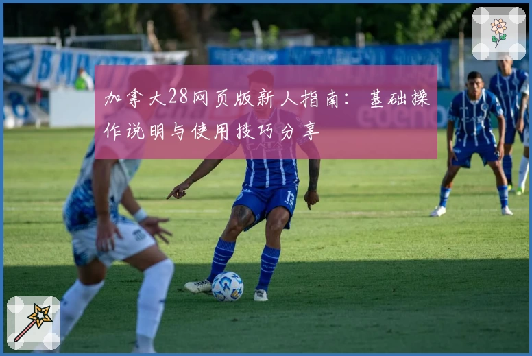 加拿大28网页版新人指南：基础操作说明与使用技巧分享
