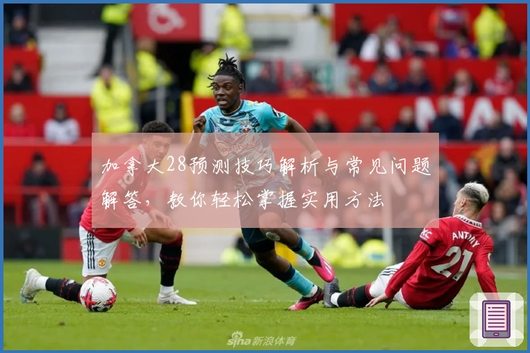 加拿大28预测技巧解析与常见问题解答，教你轻松掌握实用方法