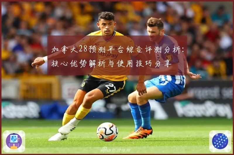 加拿大28预测平台综合评测分析：核心优势解析与使用技巧分享