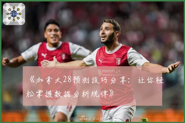 《加拿大28预测技巧分享：让你轻松掌握数据分析规律》